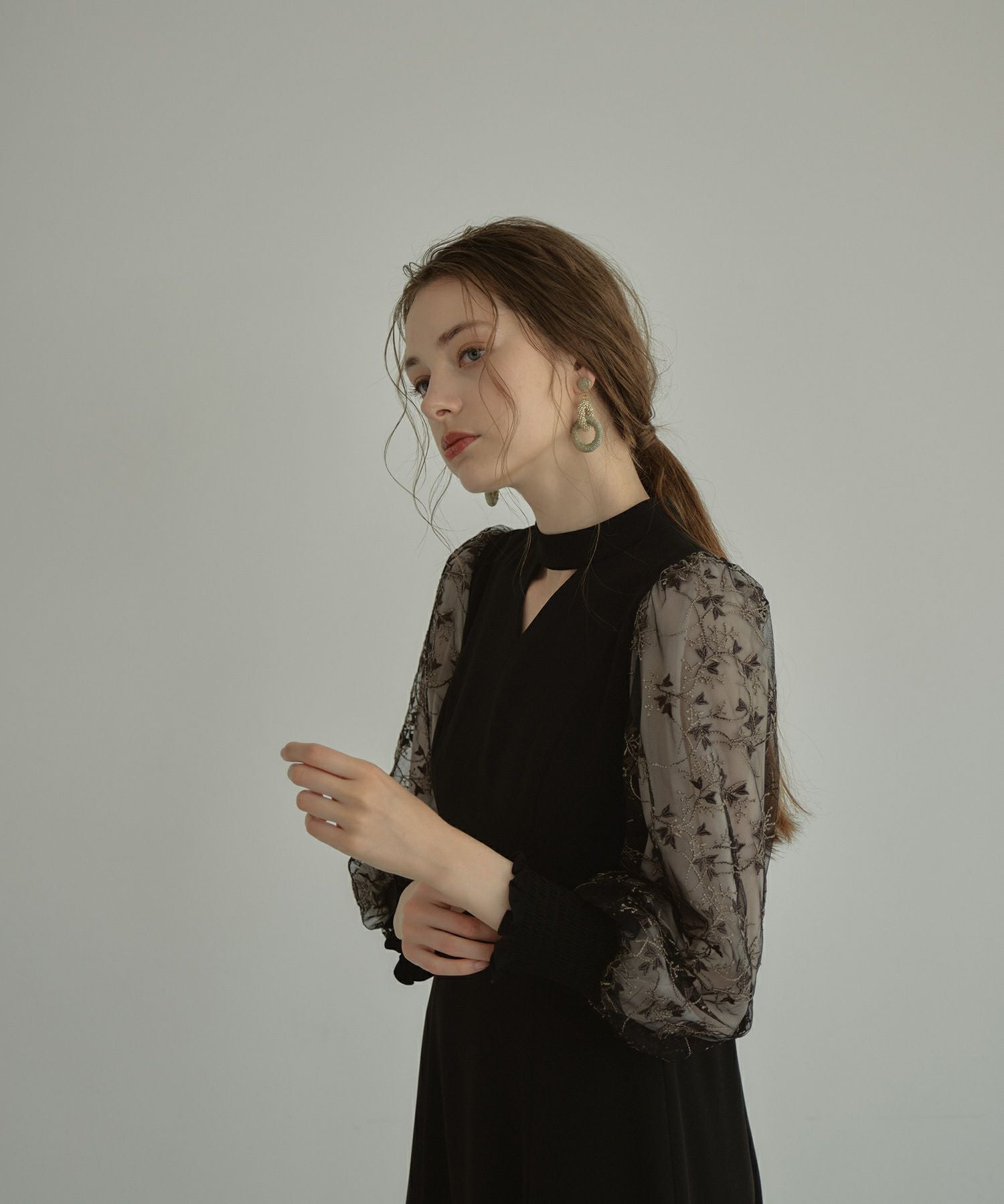 sleeve embroidery dress | ANDRESD