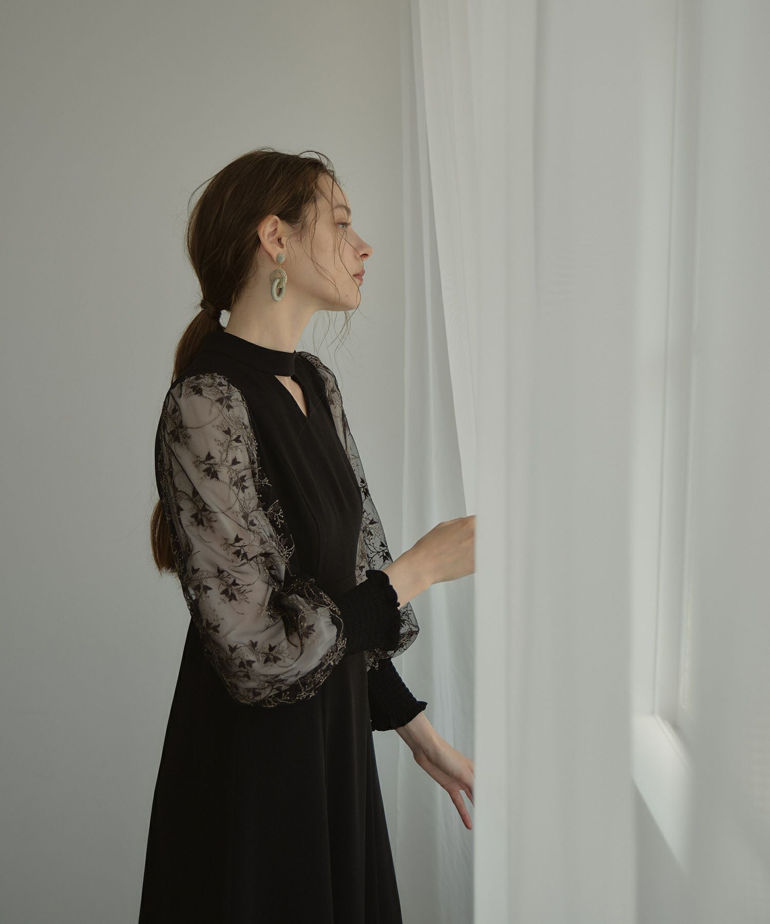 sleeve embroidery dress | ANDRESD