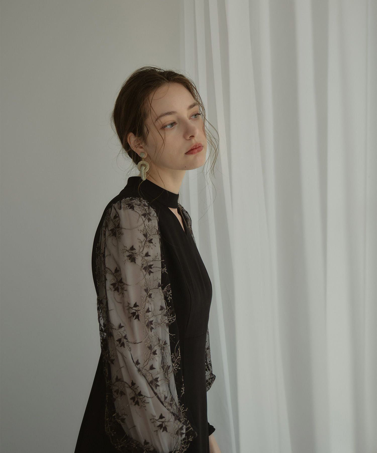 sleeve embroidery dress | ANDRESD