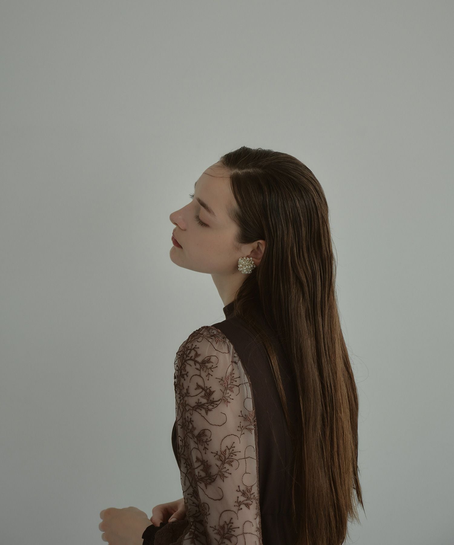 sleeve embroidery dress | ANDRESD