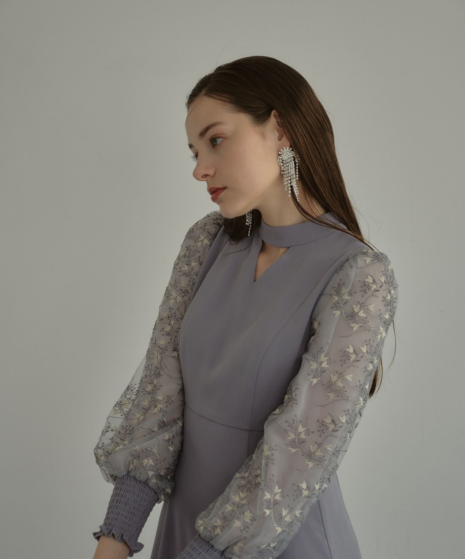 sleeve embroidery dress | ANDRESD