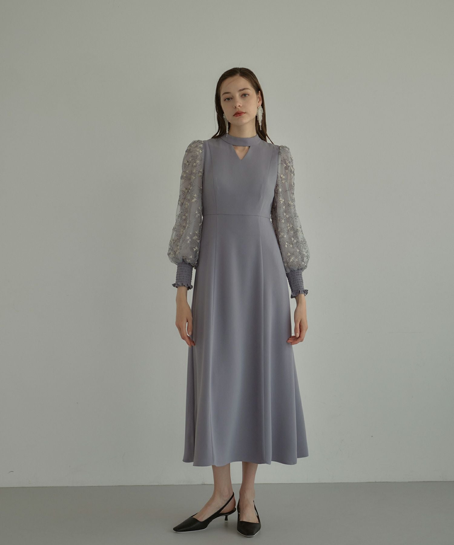 sleeve embroidery dress | ANDRESD