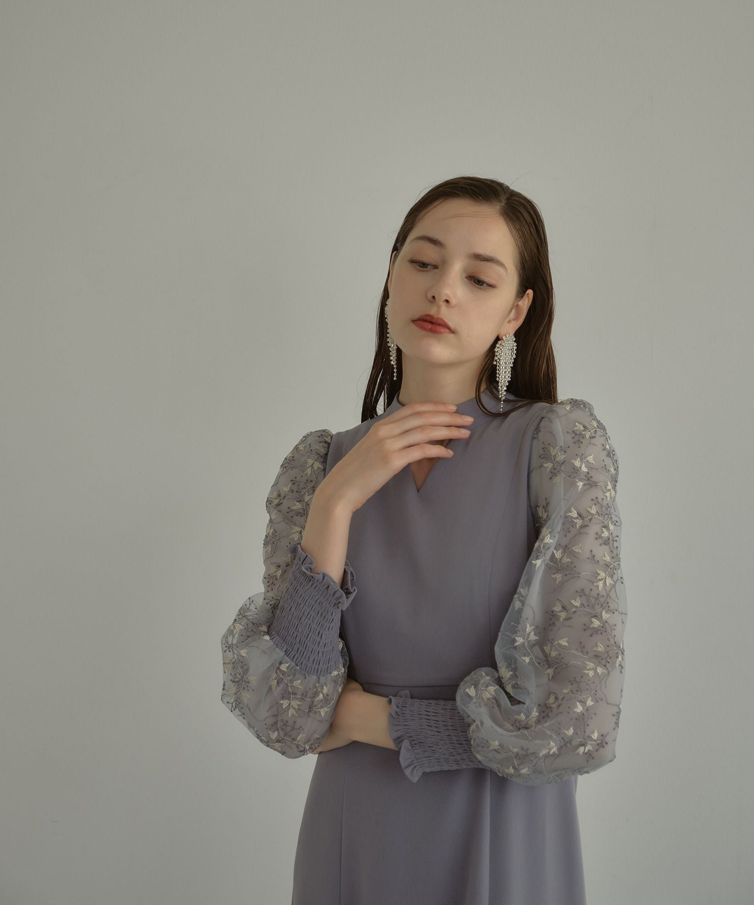 sleeve embroidery dress | ANDRESD