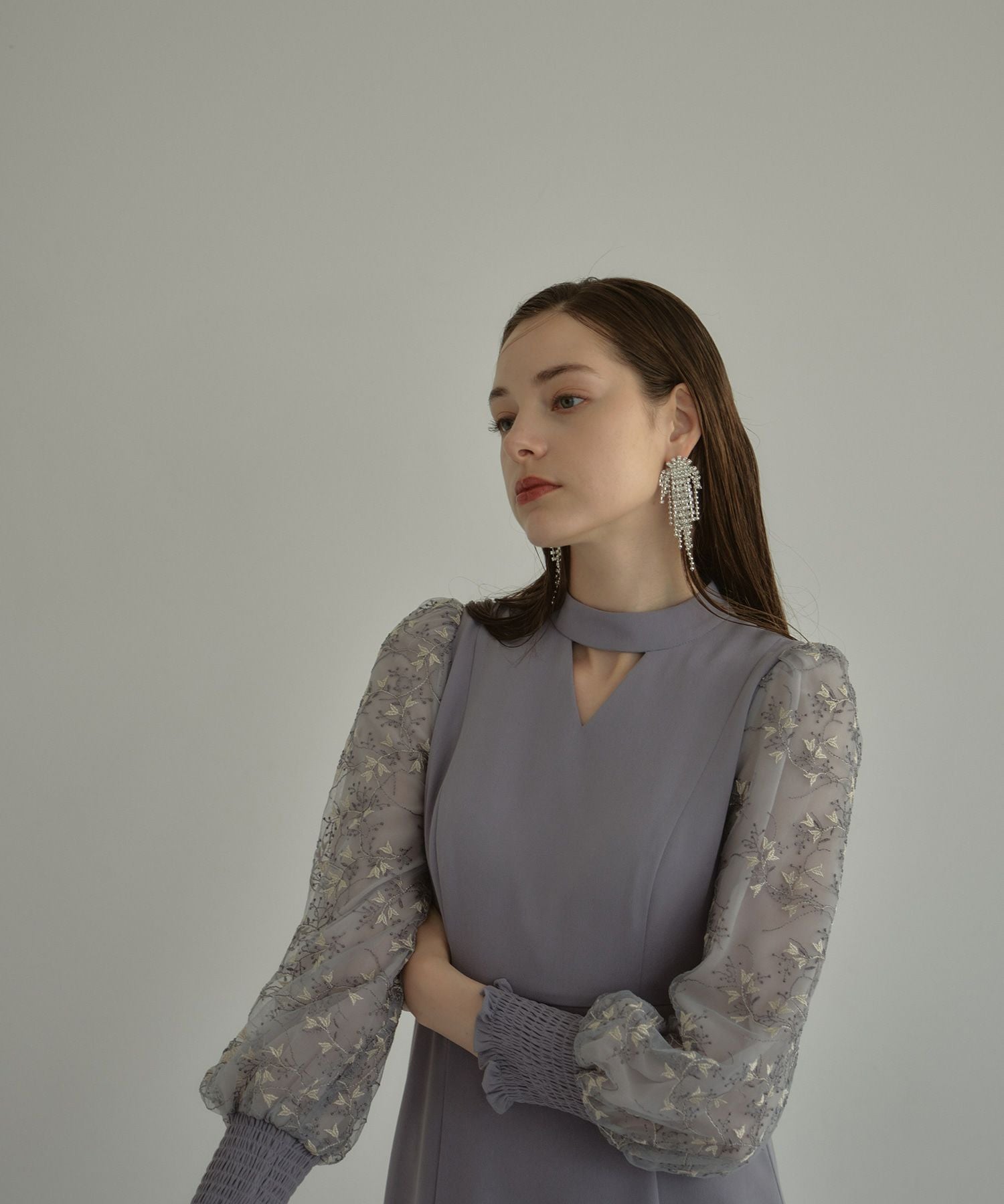 sleeve embroidery dress | ANDRESD