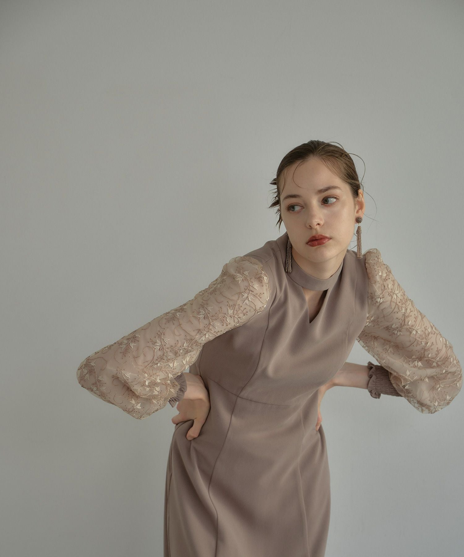 sleeve embroidery dress | ANDRESD