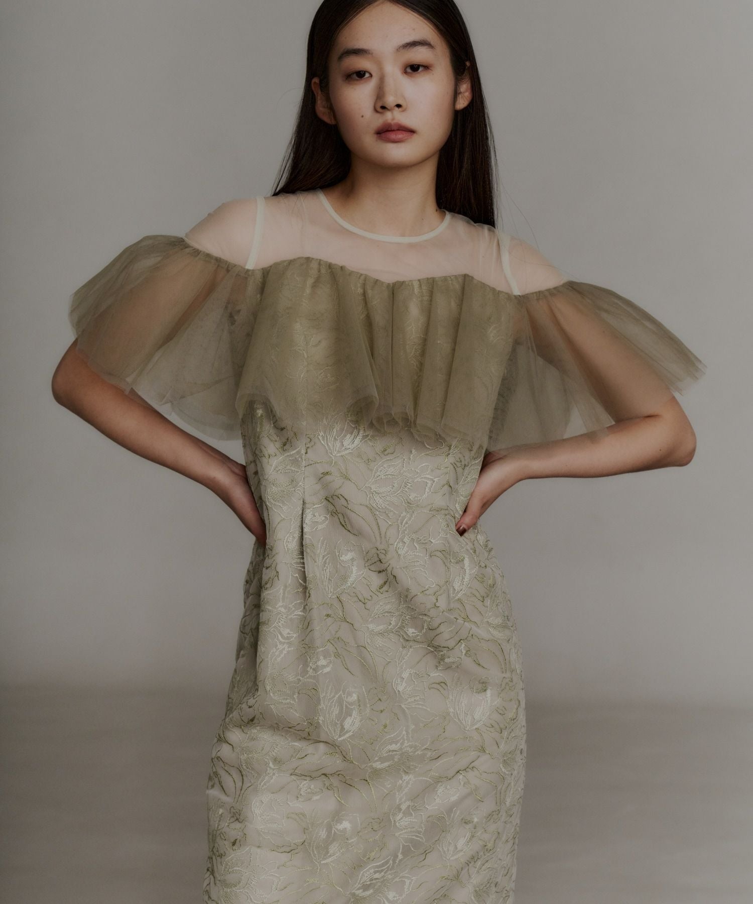ANDRESD チュールフリルスリーブ3wayドレス tulle frills embroidery dress | ANDRESD