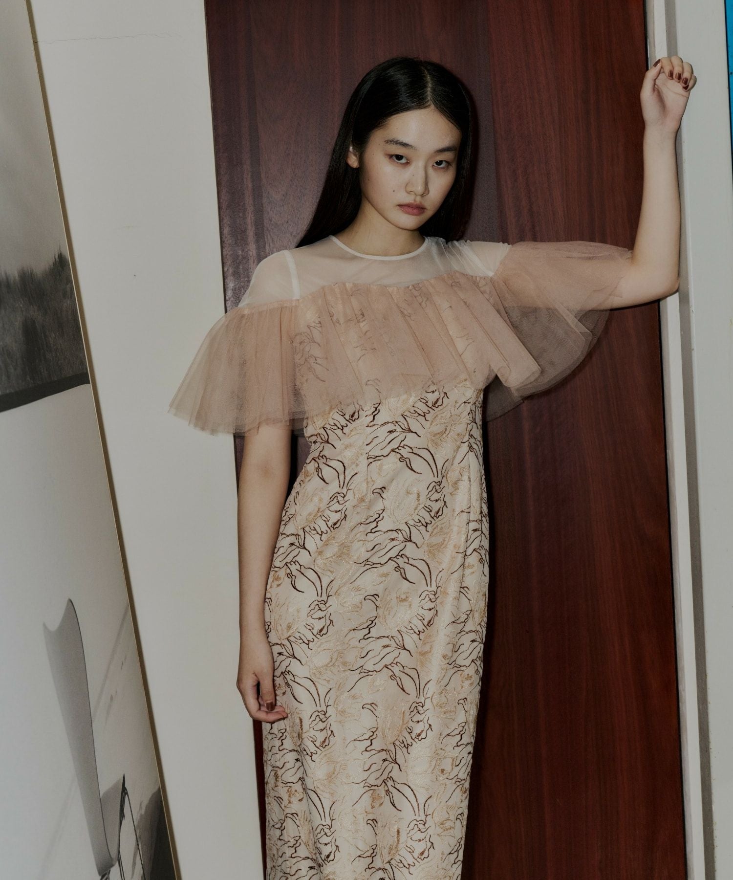 tulle frills embroidery dress | ANDRESD